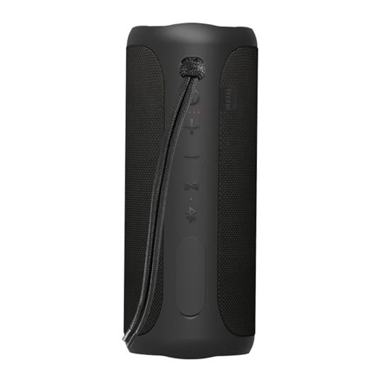 EFM Austin Pro 40W Bluetooth Speaker