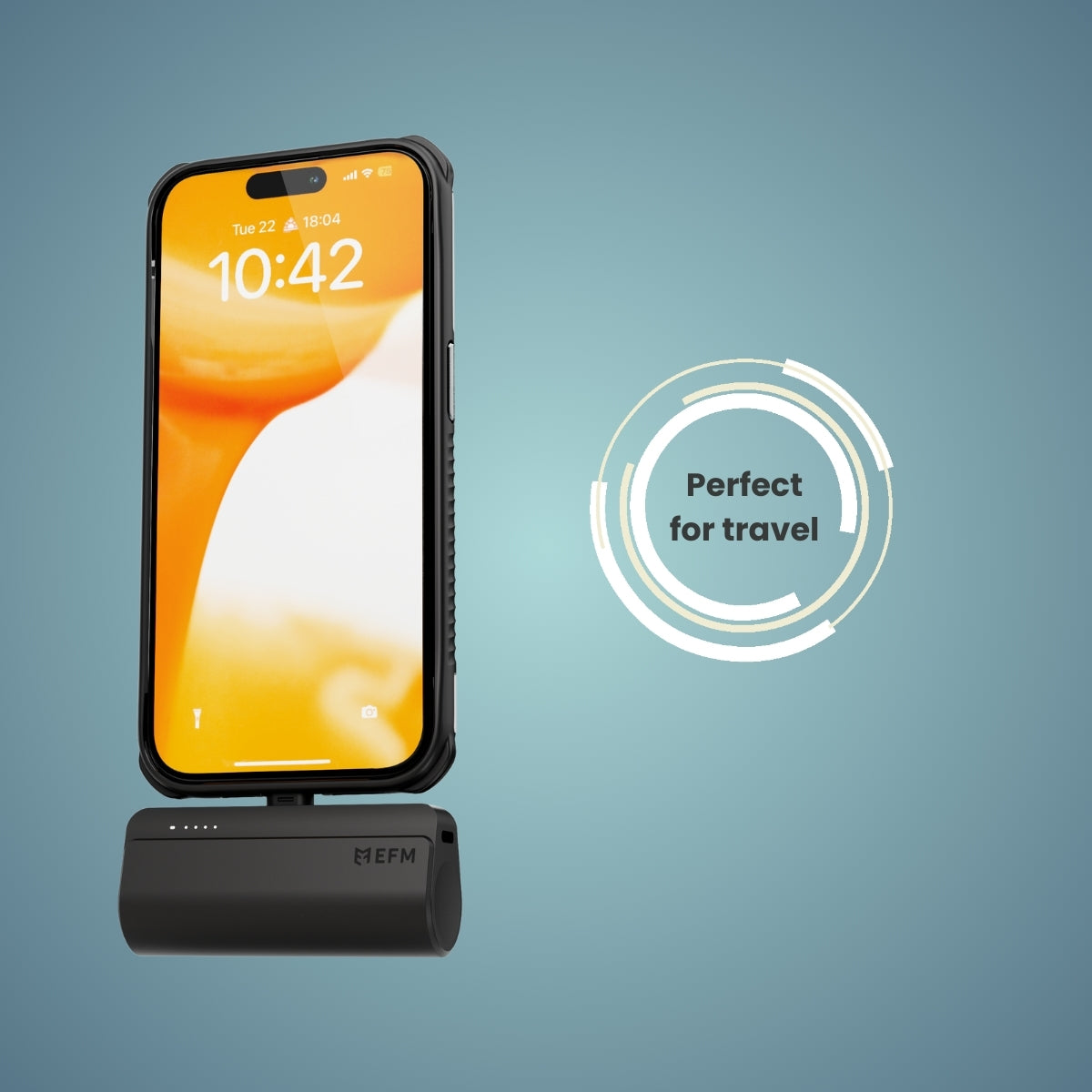 EFM Power On-The-Go Twin Pack - For all USB-C Devices - Black