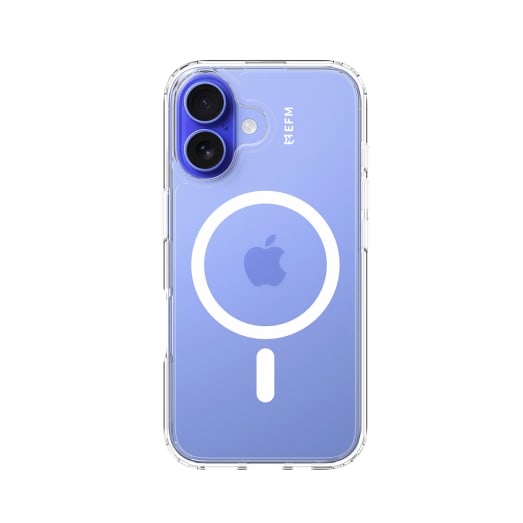 EFM Zurich Case