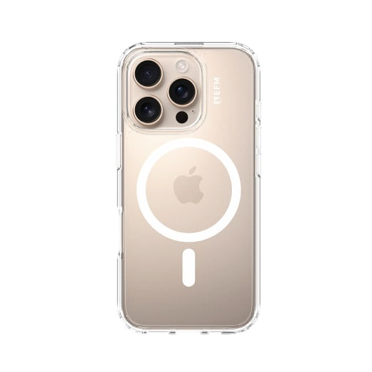 EFM Zurich Case